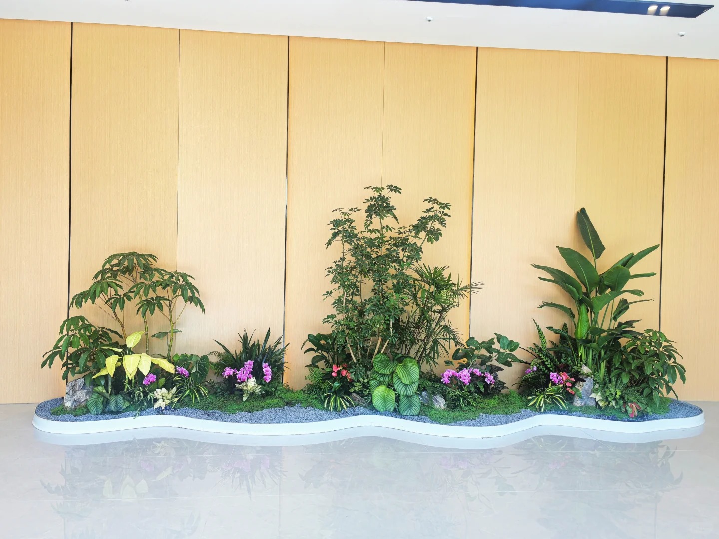 专业绿植出租,宁波北仑打造清新办公环境就选它!