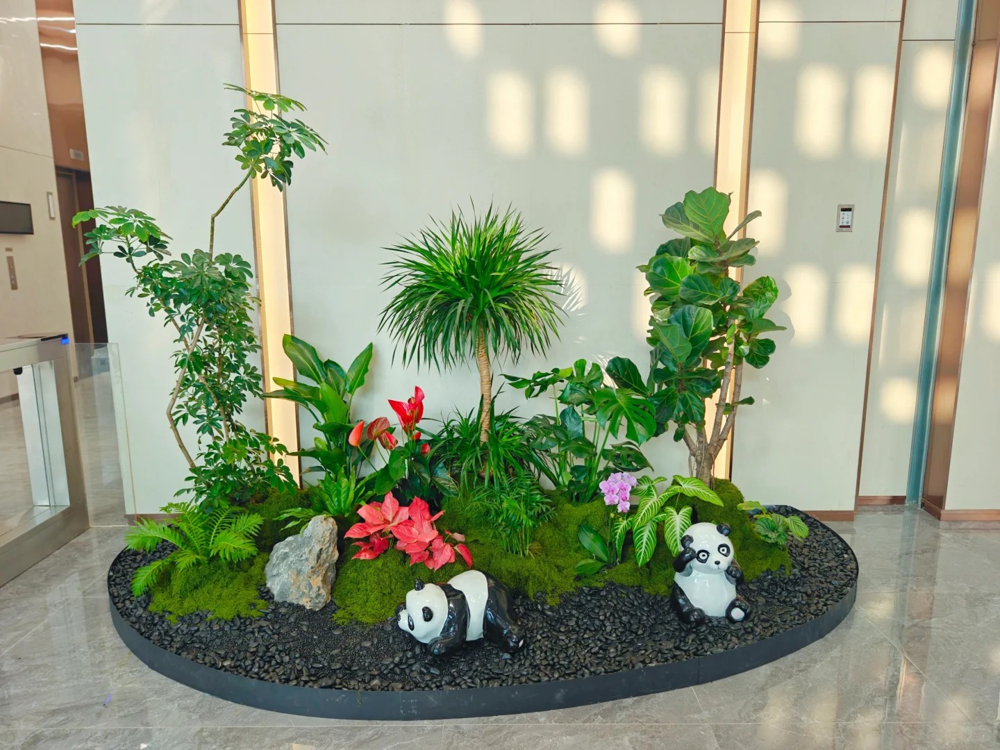 专业绿植出租,宁波北仑打造清新办公环境就选它!